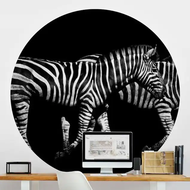 Zebra vor Schwarz Runde Fototapete Bestseller
