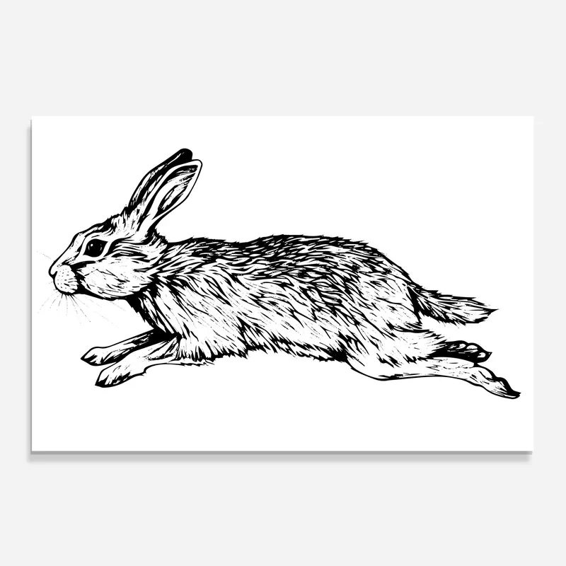Angebot Küchenrückwand Glas Rabbit Jumping
