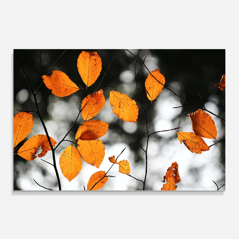 Aktuell Küchenrückwand Glas Small Orange Leaves