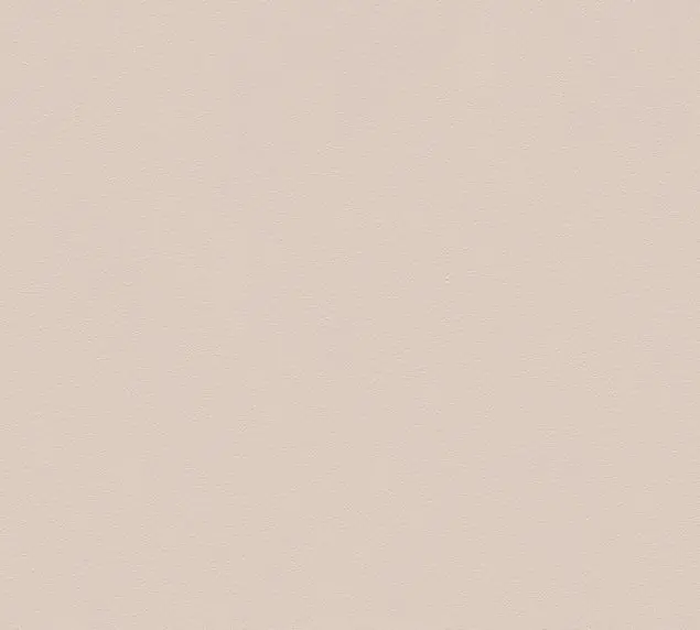 Abverkauf A.S. Création Il Decoro in Beige - 309150 Unitapete