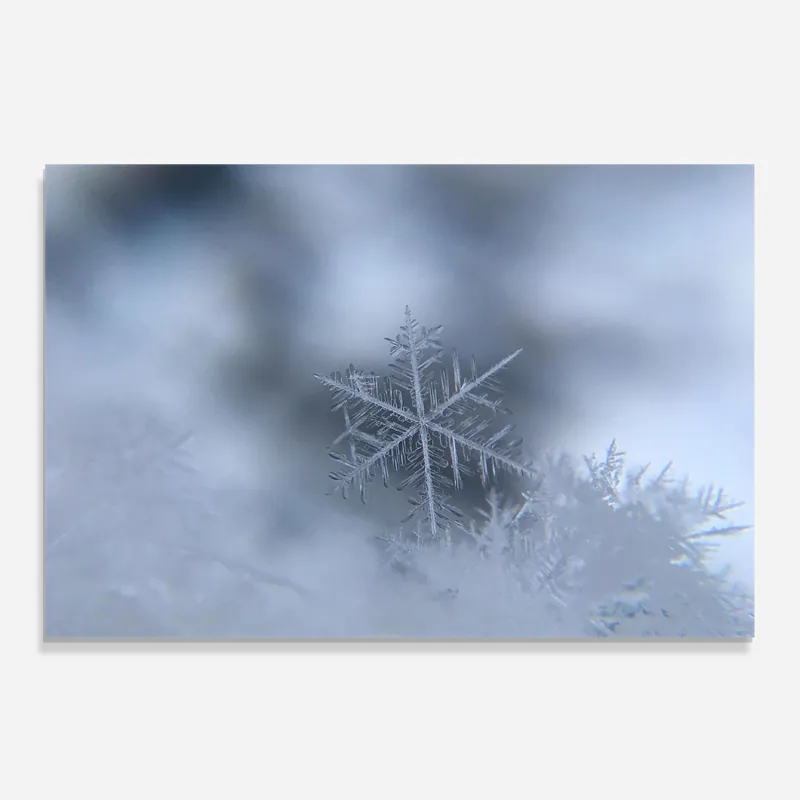 Aktuell Küchenrückwand Glas Pretty Snowflake