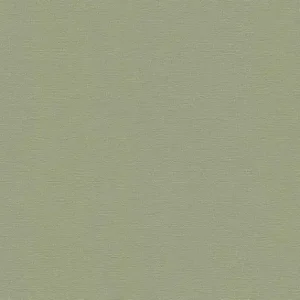 A.S. Création Flavour in Grün - 367137 einfarbige Tapete Abverkauf