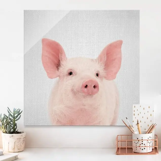 Schwein Schorsch Neu