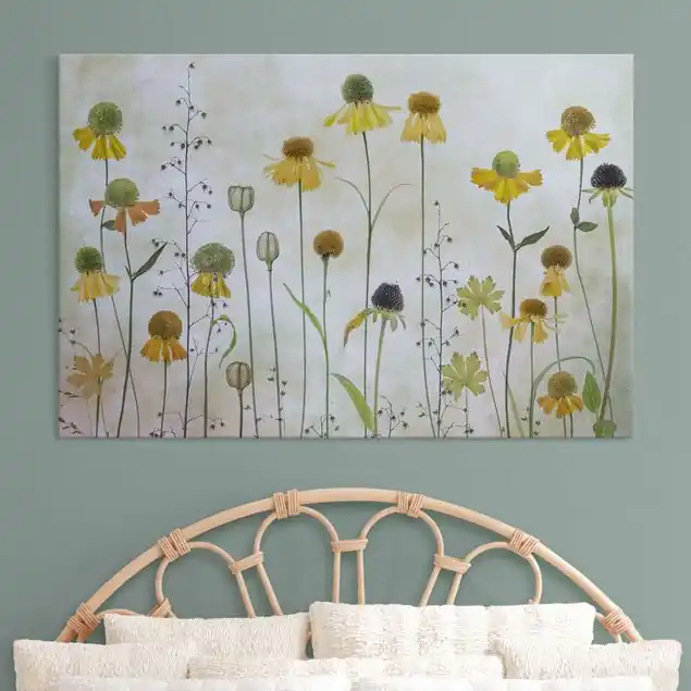 Zarte Helenium Blüten Finale Aktion