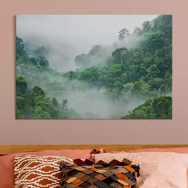 Zertifiziert Dschungel im Nebel