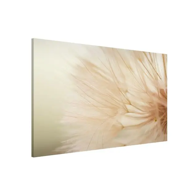 Weiche Pusteblume Bestpreis