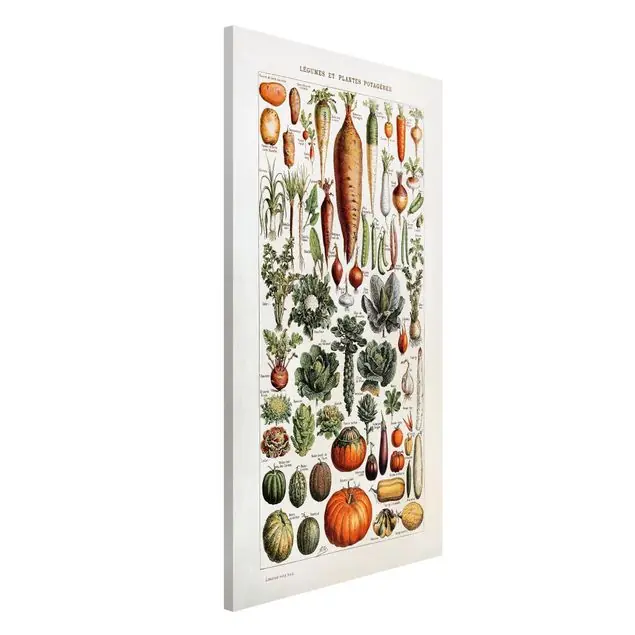 Angebot Vintage Lehrtafel Gemüse