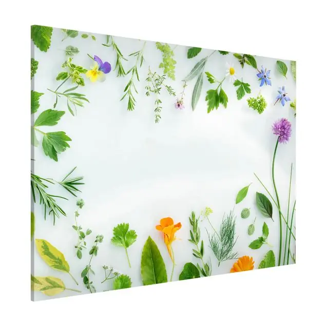 Zertifiziert Kräuter und Blüten