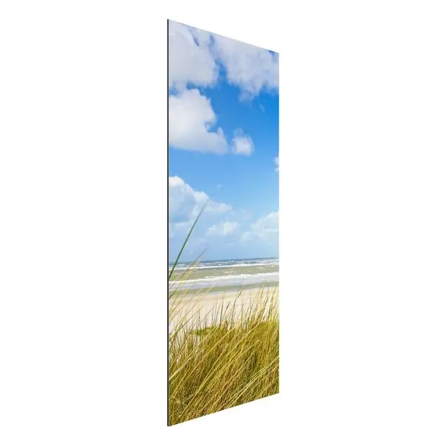 An der Nordseeküste Panorama Online Kaufen