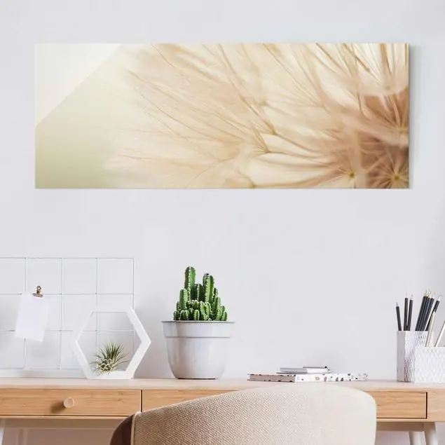 Weiche Pusteblume Kostenloser Rückversand