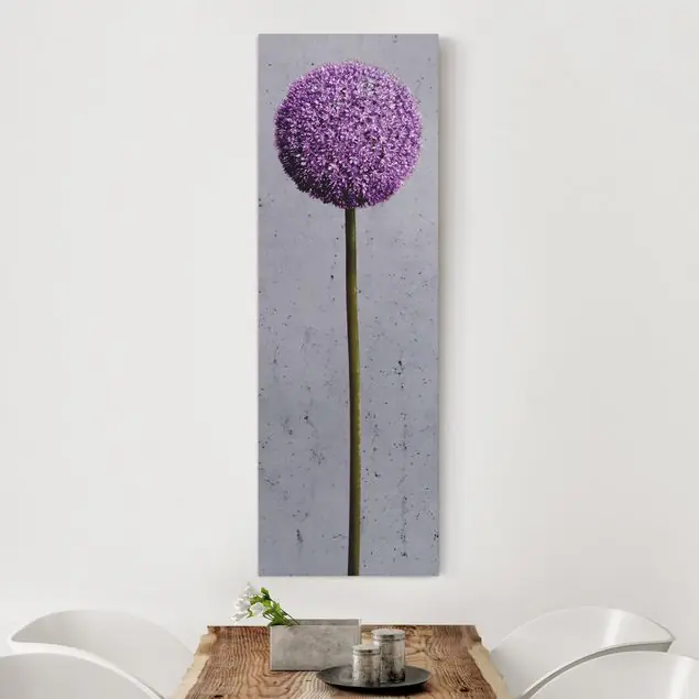 Allium Kugel-Blüten Sale