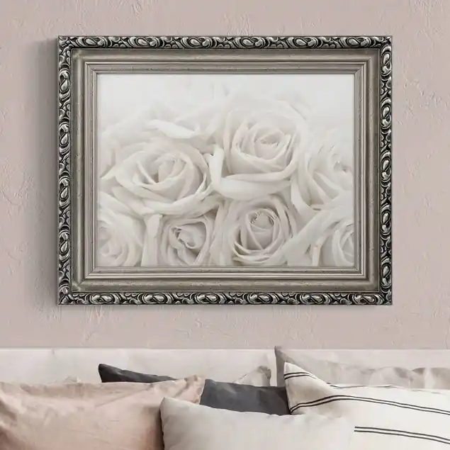 Weiße Rosen Knallerangebot