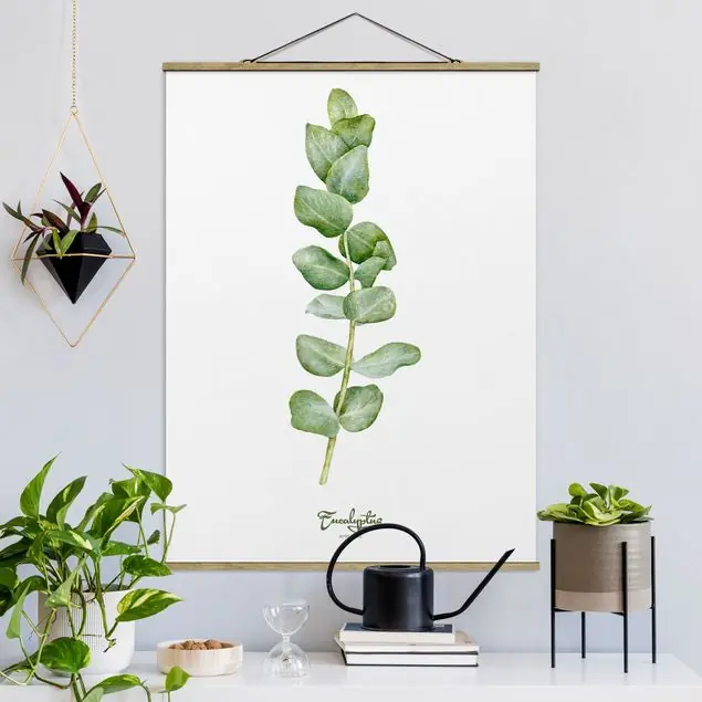 Abverkauf Aquarell Botanik Eukalyptus