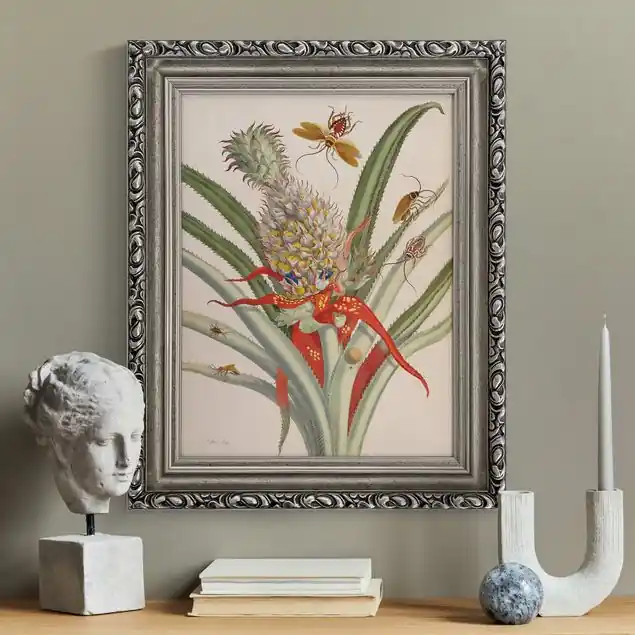 Anna Maria Sibylla Merian - Ananas mit Insekten Kostenloser Versand