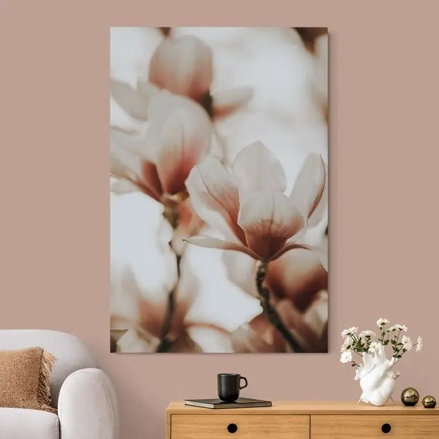 Zarte Magnolienblüten im Lichtspiel Neu Im Sortiment