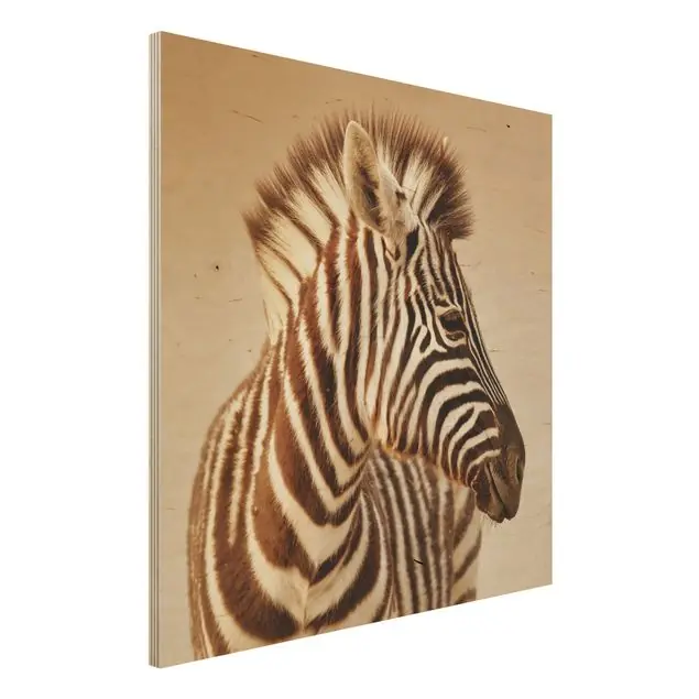 Zebra Baby Portrait Meistverkauft