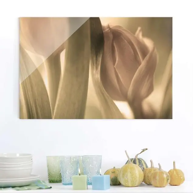Zarte Tulpen Abverkauf