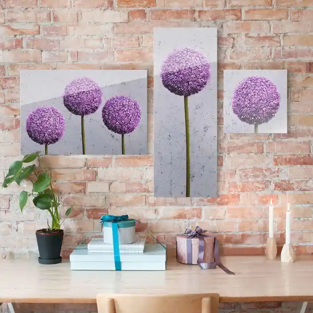 Allium Kugel-Blüten Top-Angebot