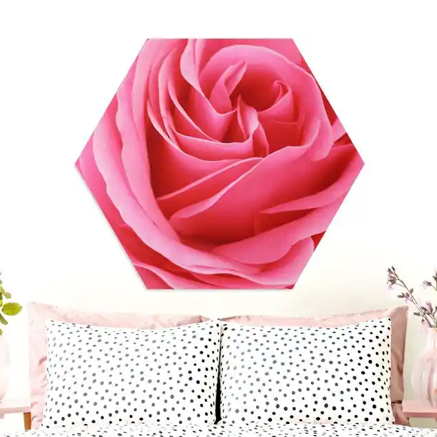 Zertifiziert Lustful Pink Rose