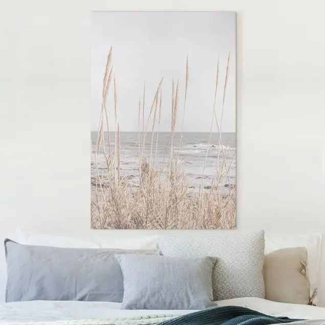 Angebot Gräser am Meer