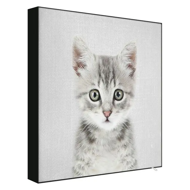 Wochenendangebot Baby Katze Killi