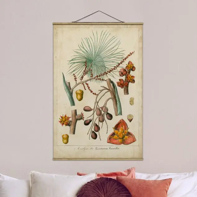 Abverkauf Vintage Lehrtafel Exotische Palmen III