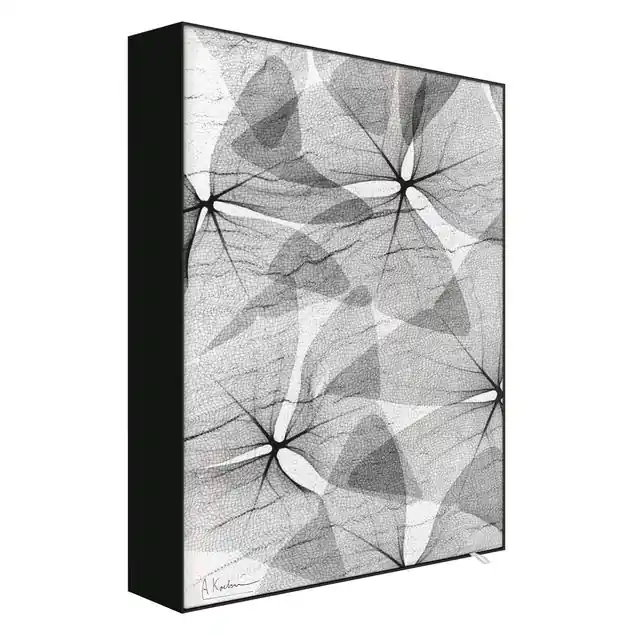 X-Ray - Dreiecksklee mit Textil Must-Have