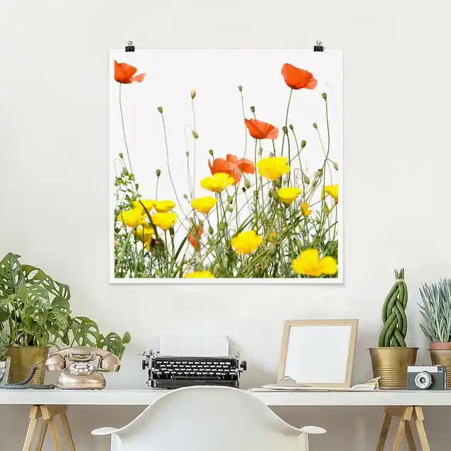 Wild Flowers Begrenztes Angebot