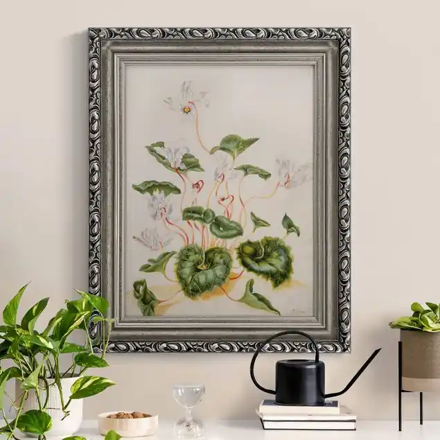 Anna Maria Sibylla Merian - Weiße Veilchen Versand Am Gleichen Tag