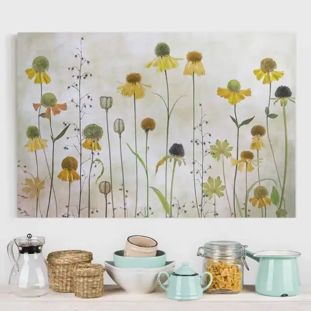 Zarte Helenium Blüten Top-Angebot