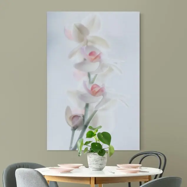 Zerbrechliche Orchidee Kostenloser Rückversand