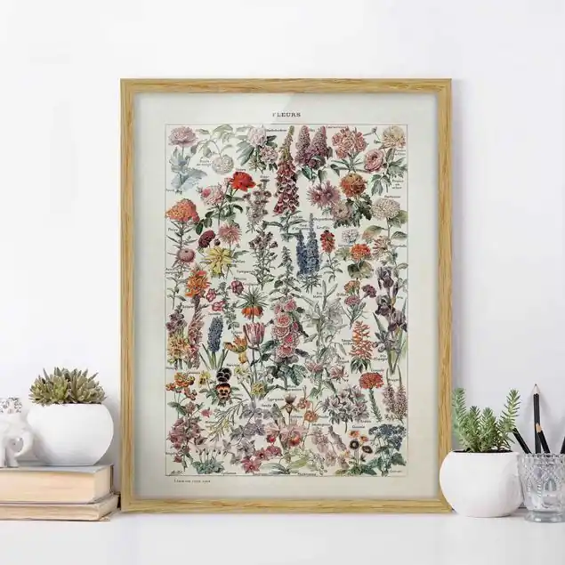 Zertifiziert Vintage Lehrtafel Blumen V