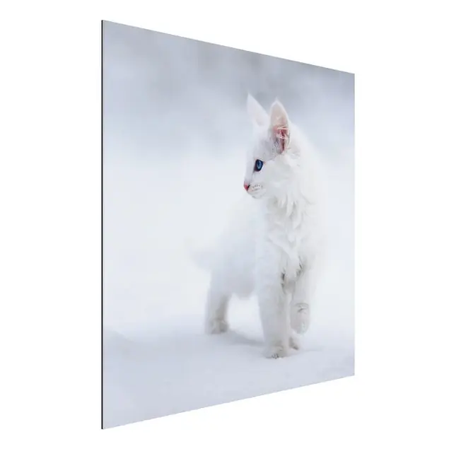Weiß wie Schnee Begrenztes Angebot
