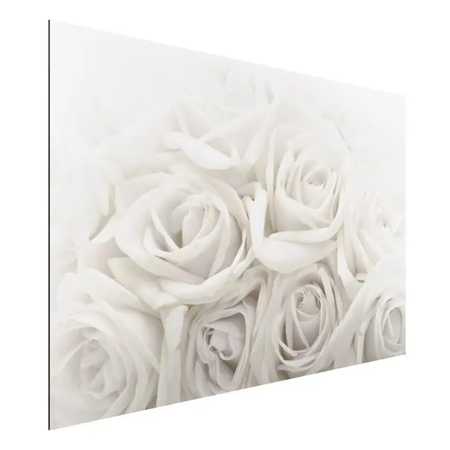 Angebot Weiße Rosen