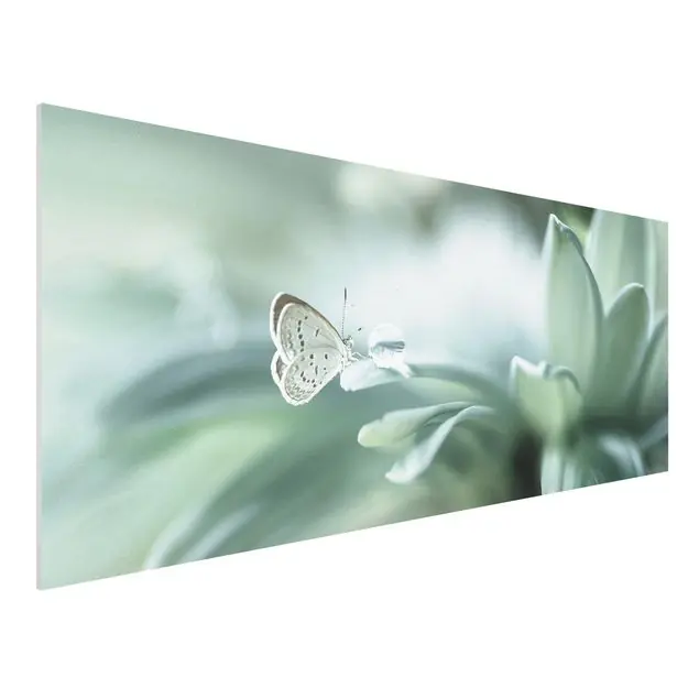 Aktuell Schmetterling und Tautropfen in Pastellgrün