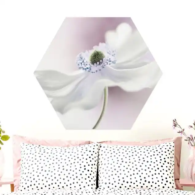Anemonenbrise Mega-Angebot