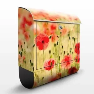 Summer Poppies                               Briefkasten Finale Aktion