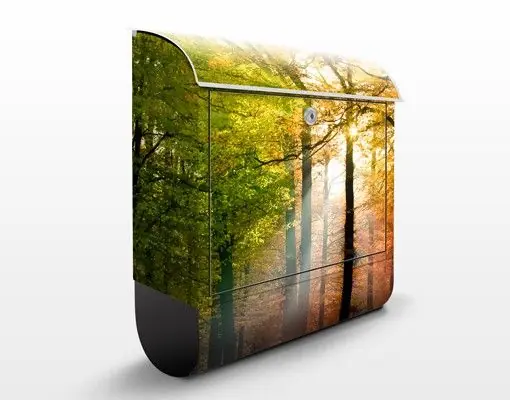 Super-Preis Morning Light Briefkasten