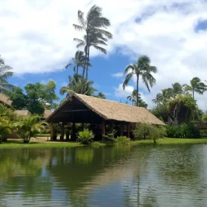 Aktuell Wind auf Hawaii