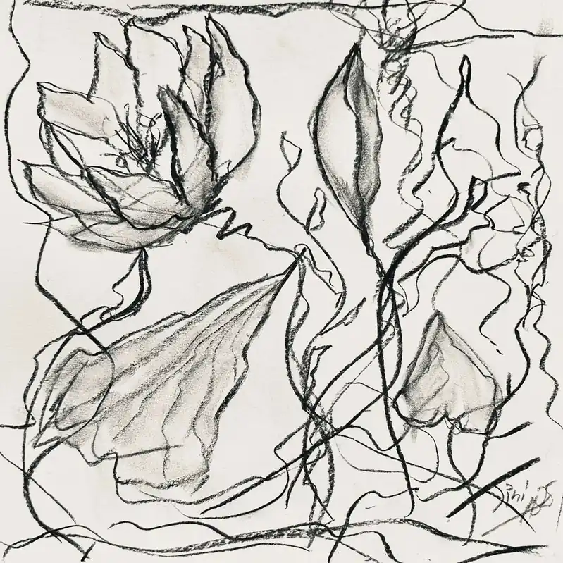 Waterlilies Move 1 Kracherpreis