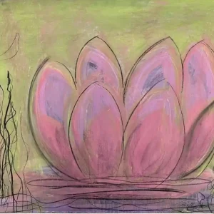 Waterlilies Pink Dream Beliebt